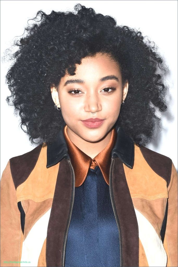 41 Peinados Afros Americanos en Tendencia en Este Momento