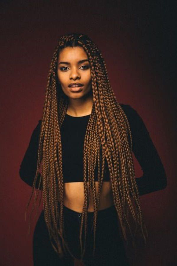 21 Trenzas Poetic Justice para lucir tu aspecto fabuloso