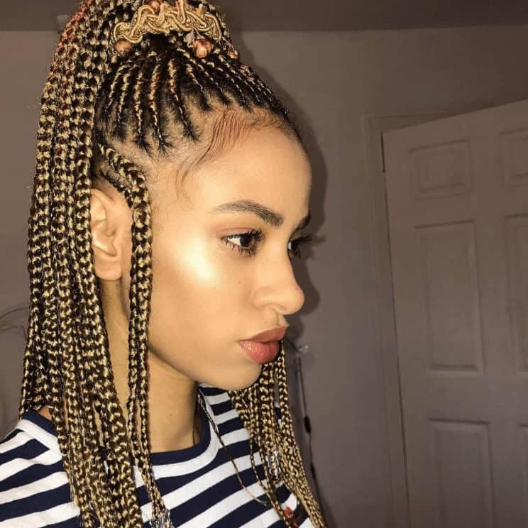 19 Peinados de Trenzas Africanas para Mujeres que Lucen Espectaculares